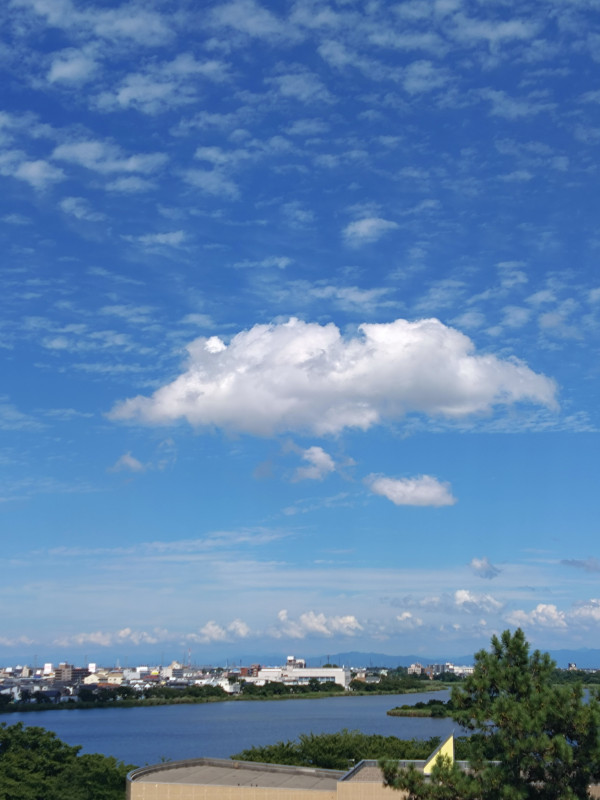 新潟市