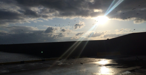 湯沢・横手・由利本荘