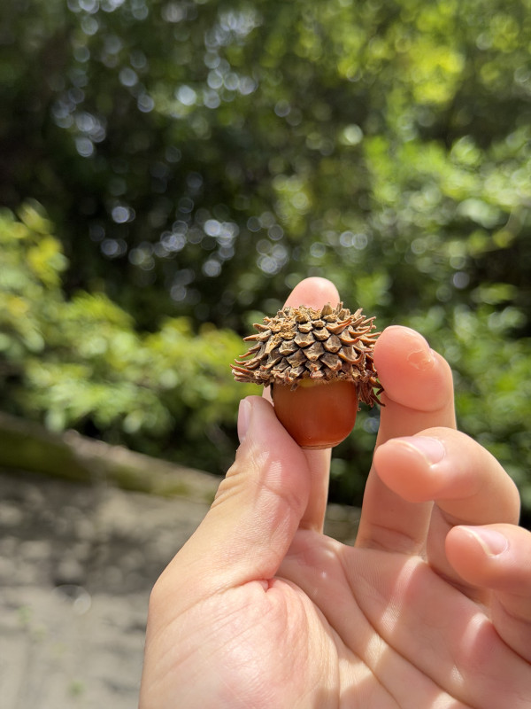 関市