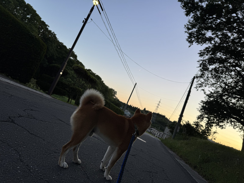 八戸市