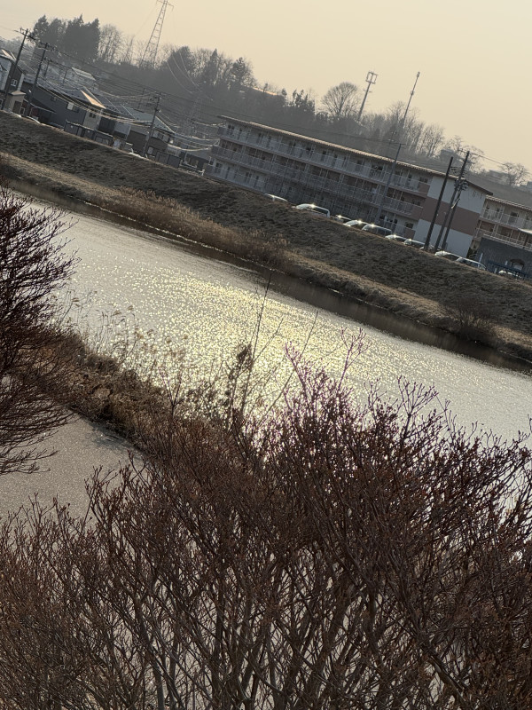 八戸市