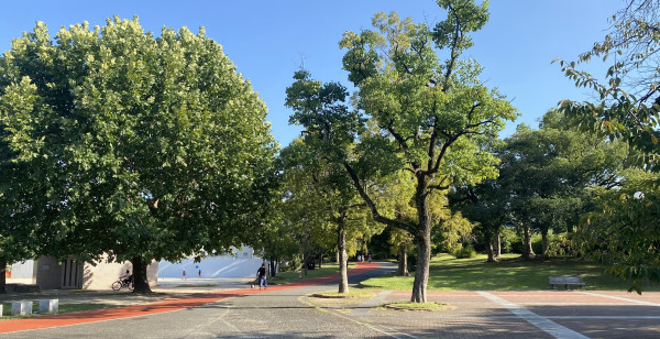 博多・天神・中洲