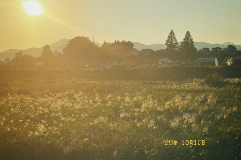 熊本市
