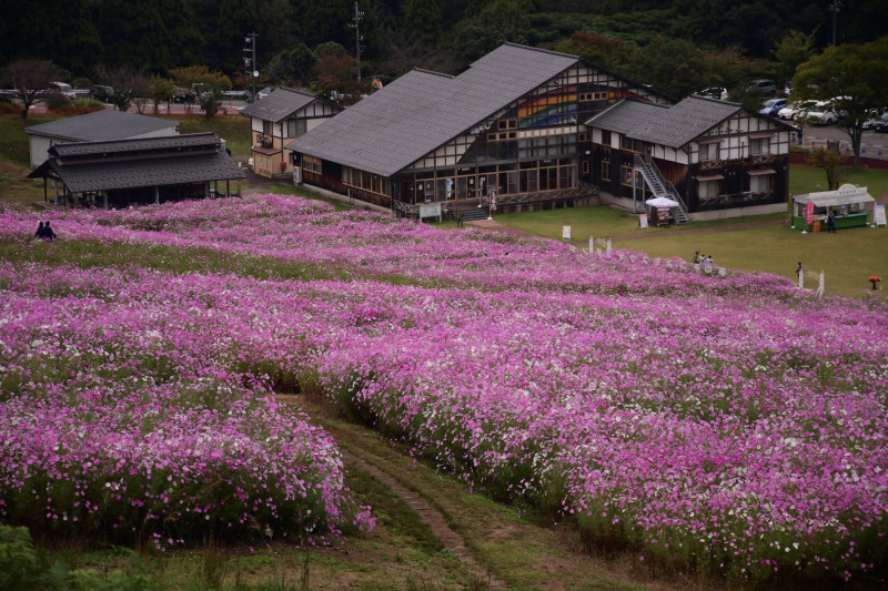砺波市