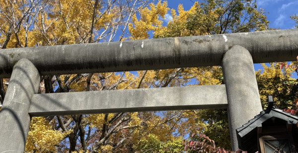 浦安・船橋・幕張