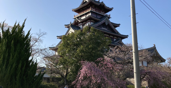まちフォト 京都府 伏見桃山