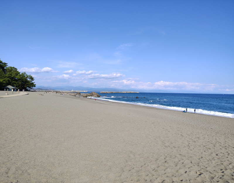 高知市