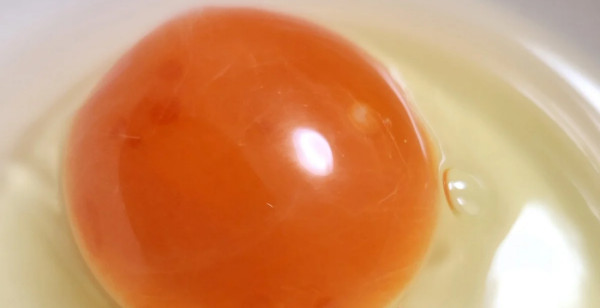 浦安・船橋・幕張