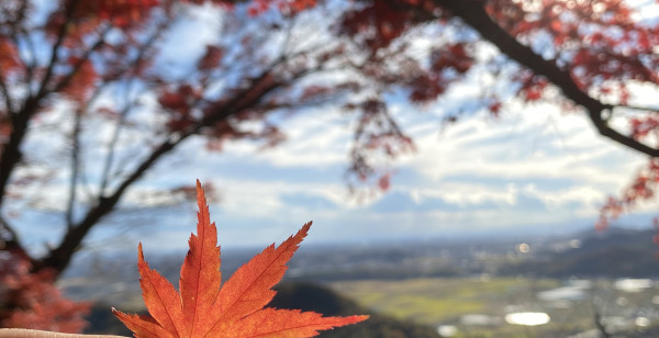 小山・鹿沼・栃木