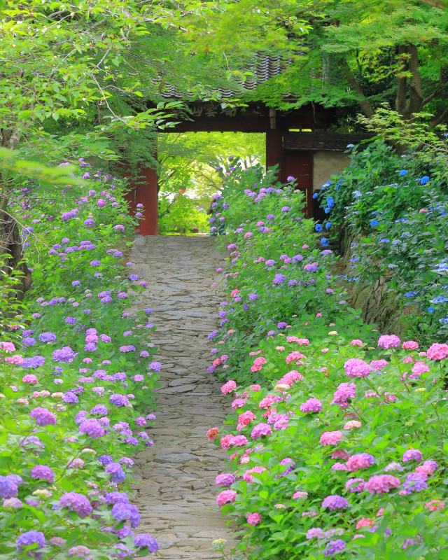 幸田町
