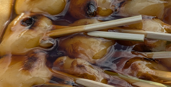 鹿児島市・桜島