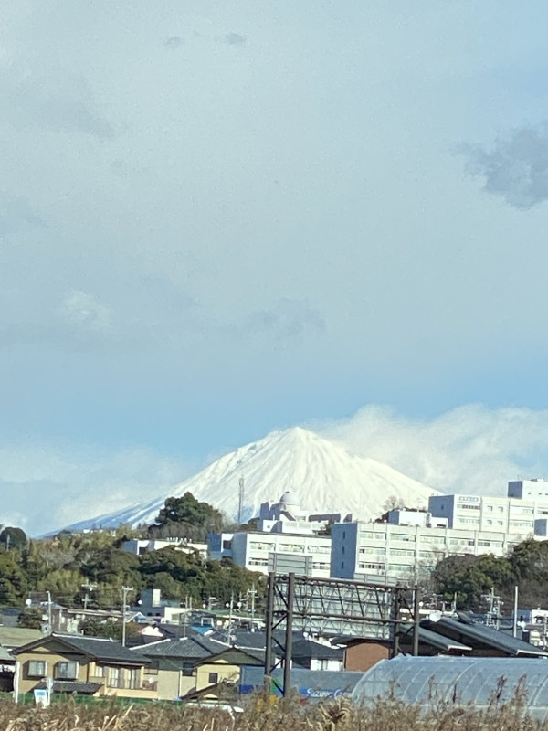 静岡市