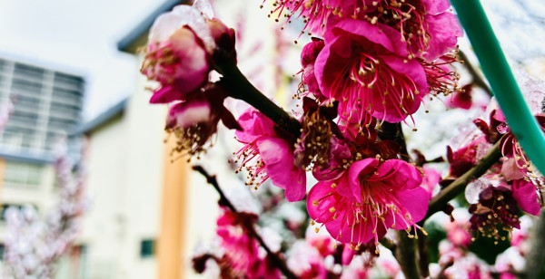 厚木・海老名・伊勢原