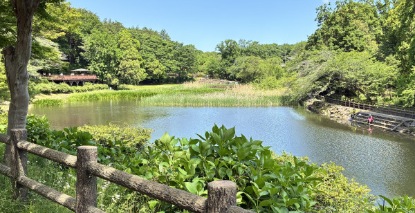 大和・相模原