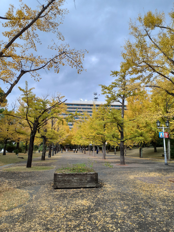 熊本市
