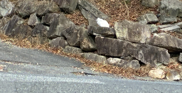 広島市・宮島・廿日市