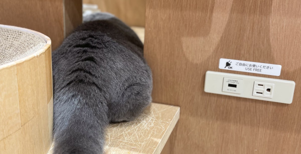 仙台・多賀城・名取