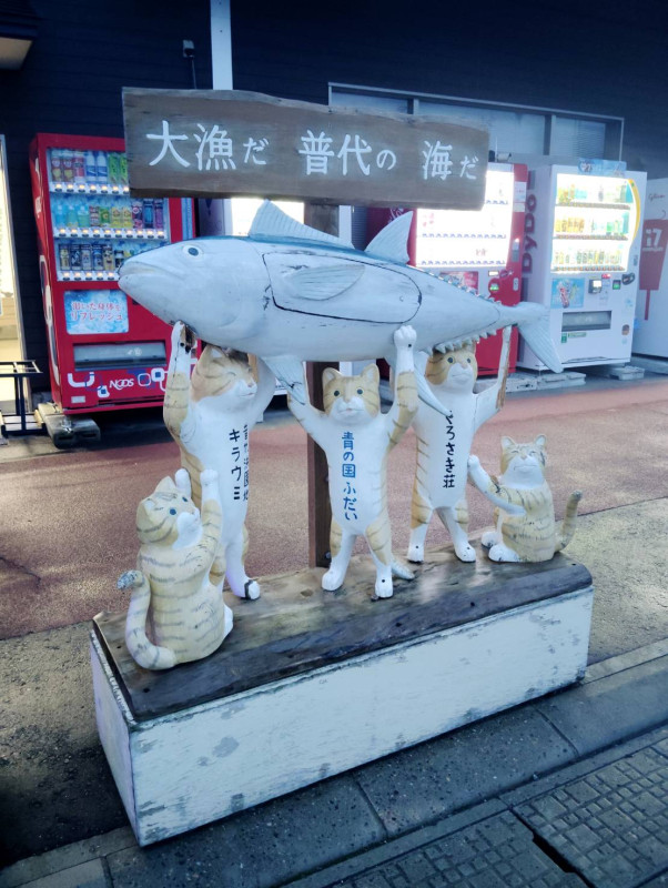 普代村