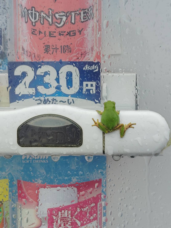 栗原市