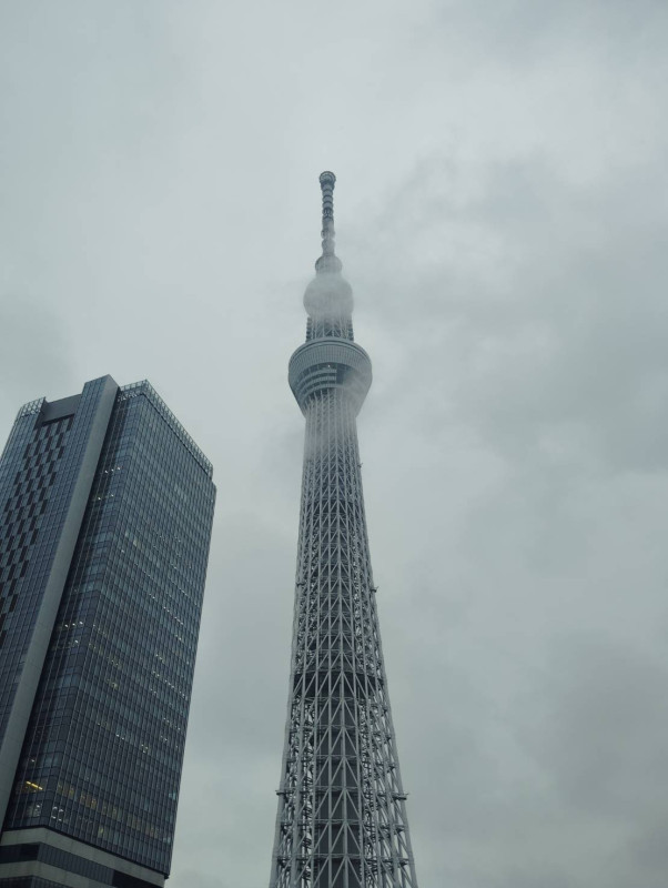 墨田区