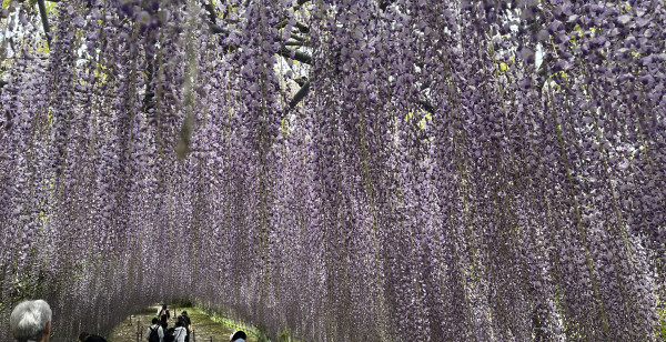 北九州・行橋・豊前