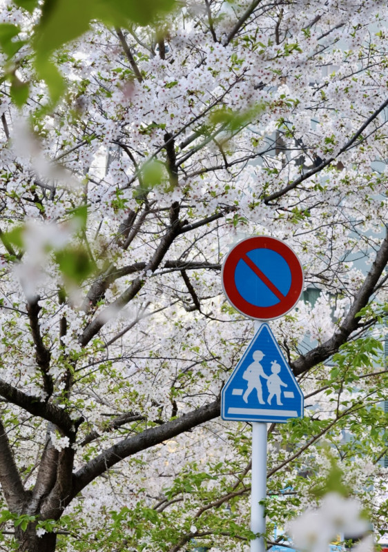 熊本市