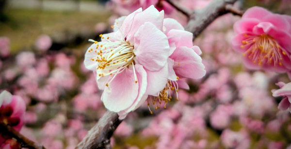岐阜市・各務原