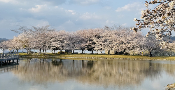 観光・レジャー 兵庫県 赤穂市