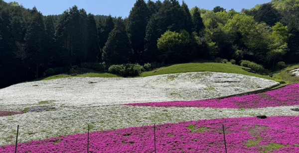 観光・レジャー 兵庫県 姫路市夢前町