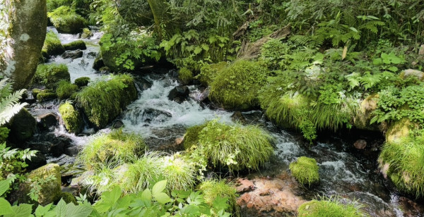米子・皆生温泉・大山