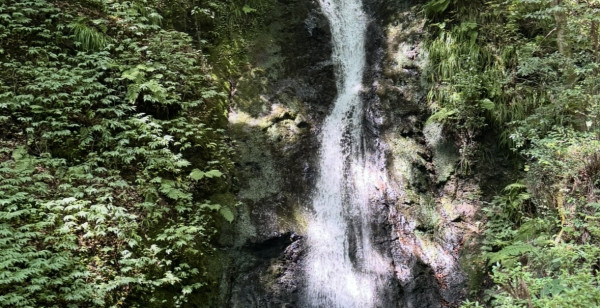 観光・レジャー 岡山県 津山市上横野