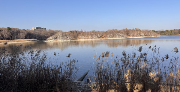 伊丹・尼崎・宝塚