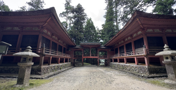 大津