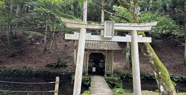 大津