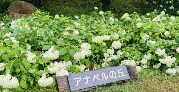 神戸・有馬・六甲