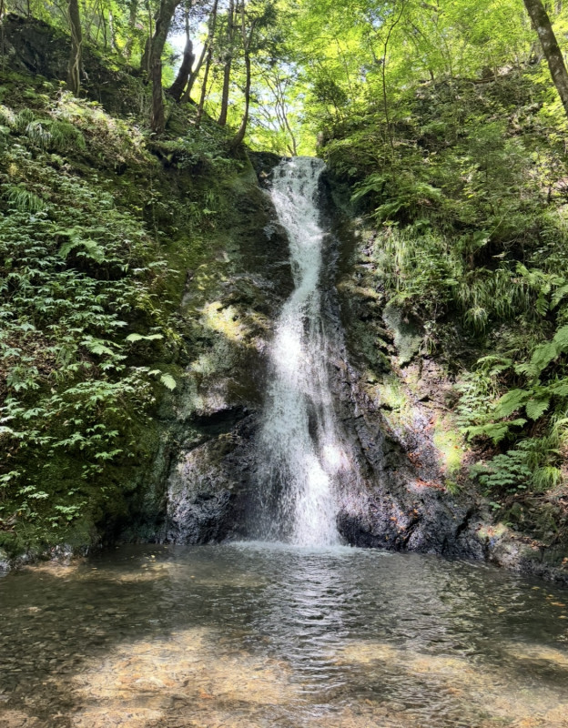 津山市