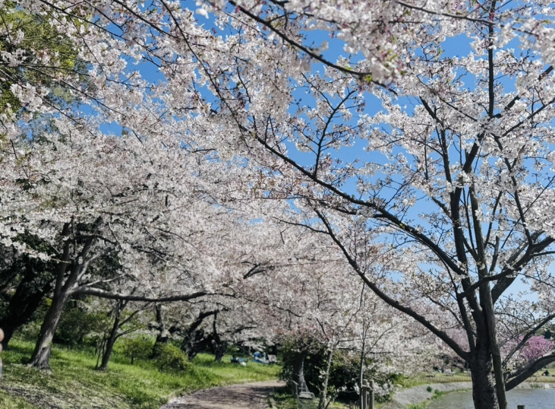 明石市
