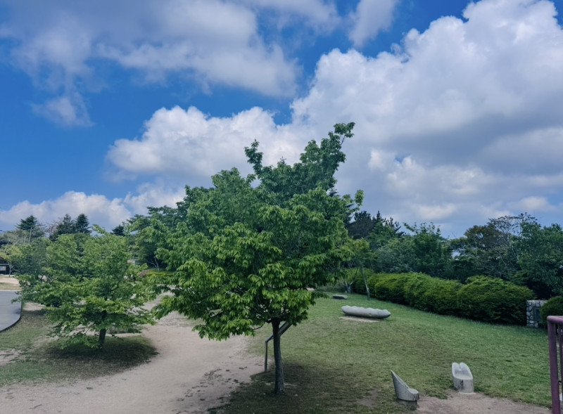 神戸市