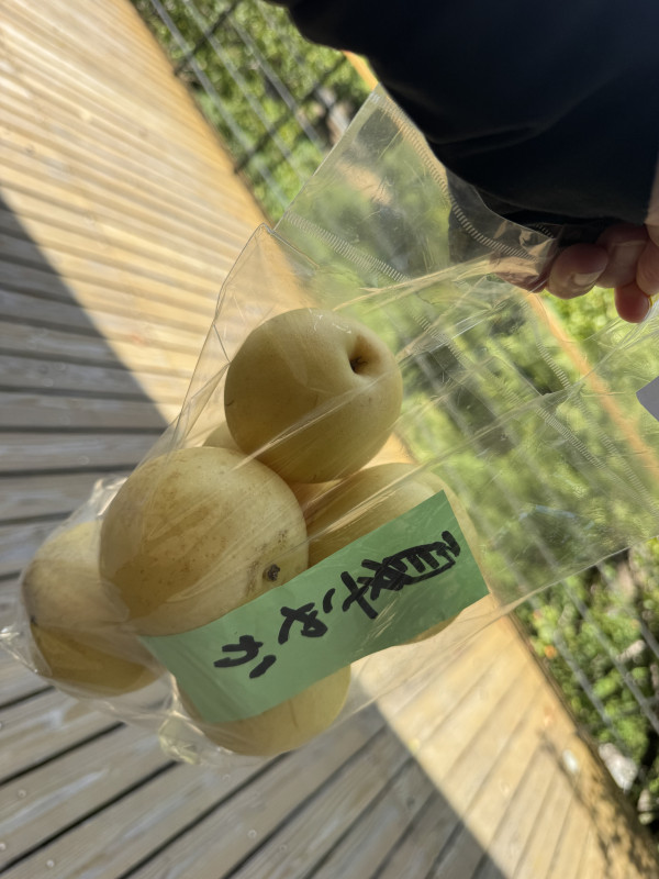 西粟倉村