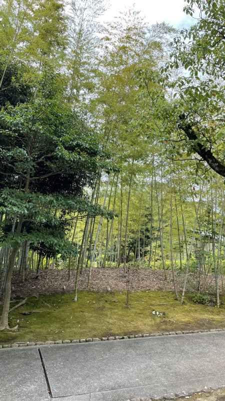 堺市