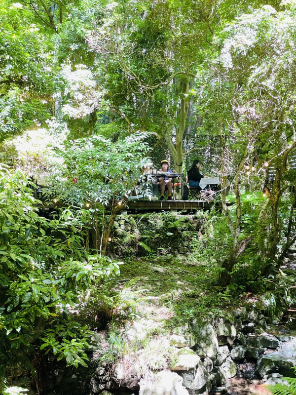 和泉市