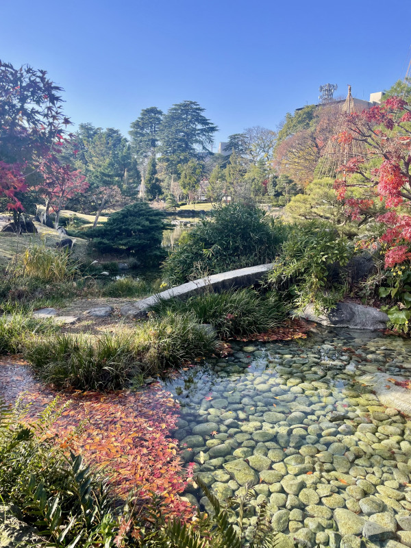富山市
