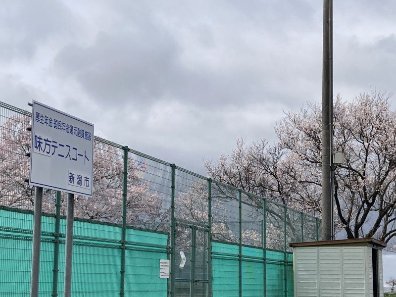 新潟市