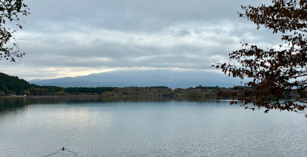 御殿場・富士・富士宮