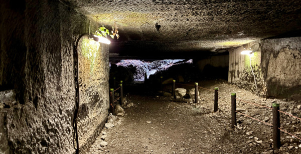 西伊豆・戸田・土肥