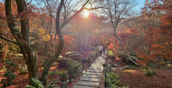 嵯峨野・嵐山・高雄