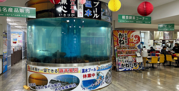 越前・鯖江・武生