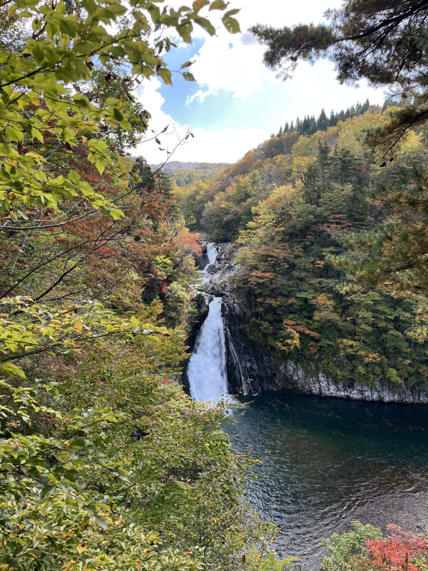 由利本荘市