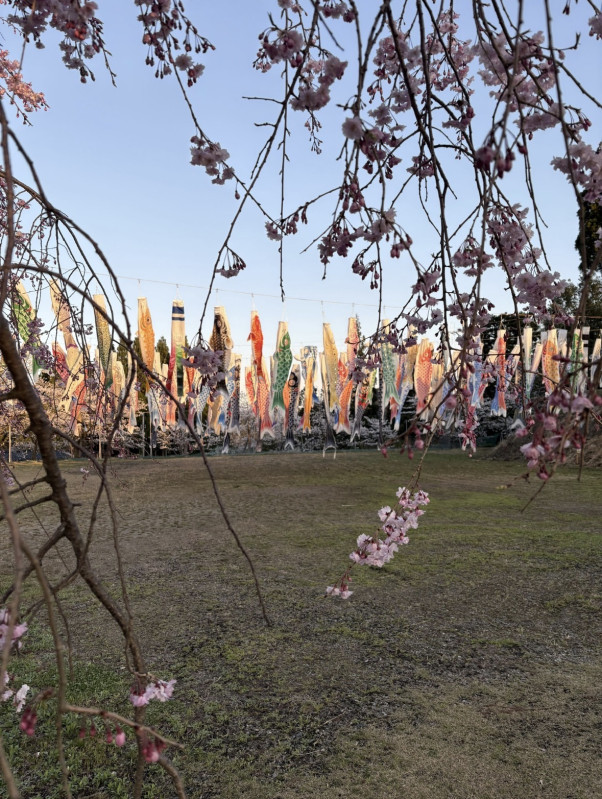 富山市