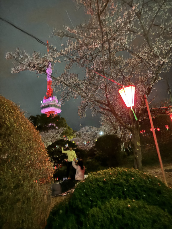 宇都宮市